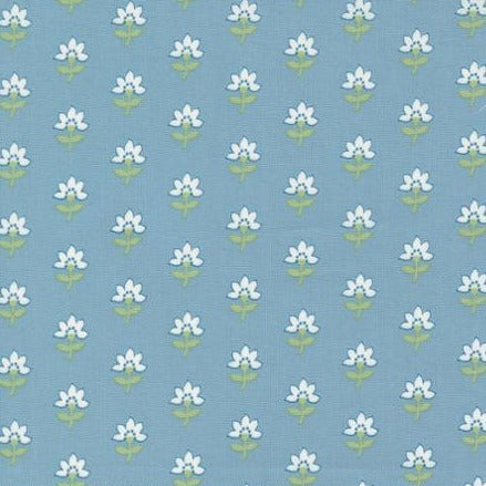 Shoreline - Coastal Florals - Light Blue