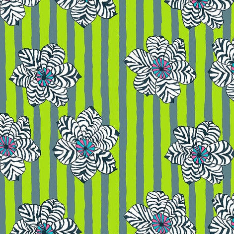 August 2023 - Zebra Lily - Green