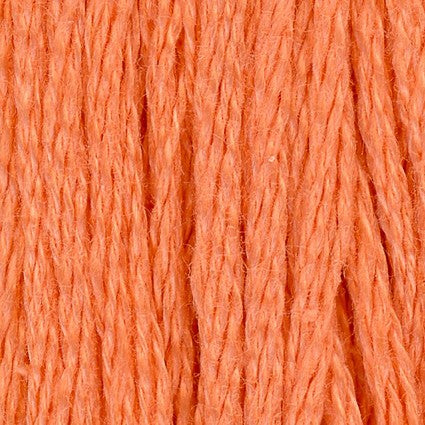 Apricot - 6 ply