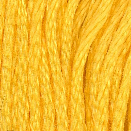 Banana - 6 ply