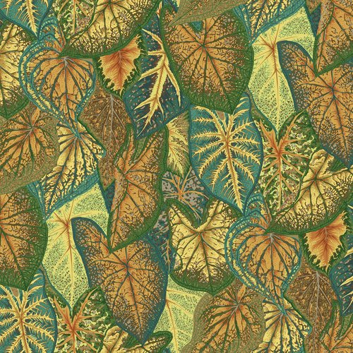 August 2021 - Caladiums - Gold