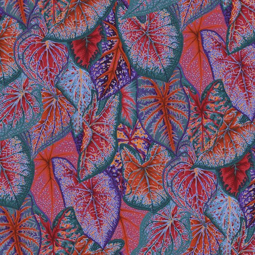 August 2021 - Caladiums - Red