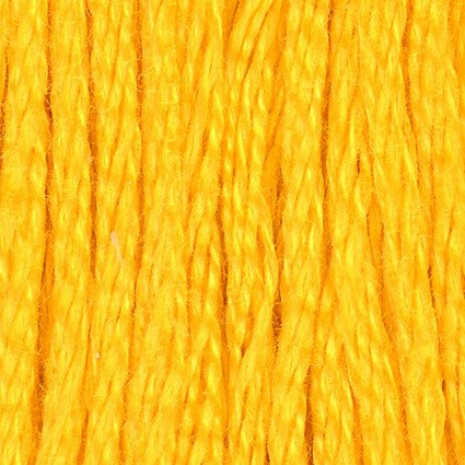 Dark Lemon - 6 ply