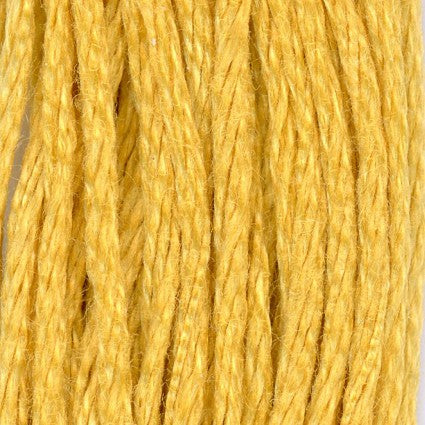 Dark Straw - 6 ply