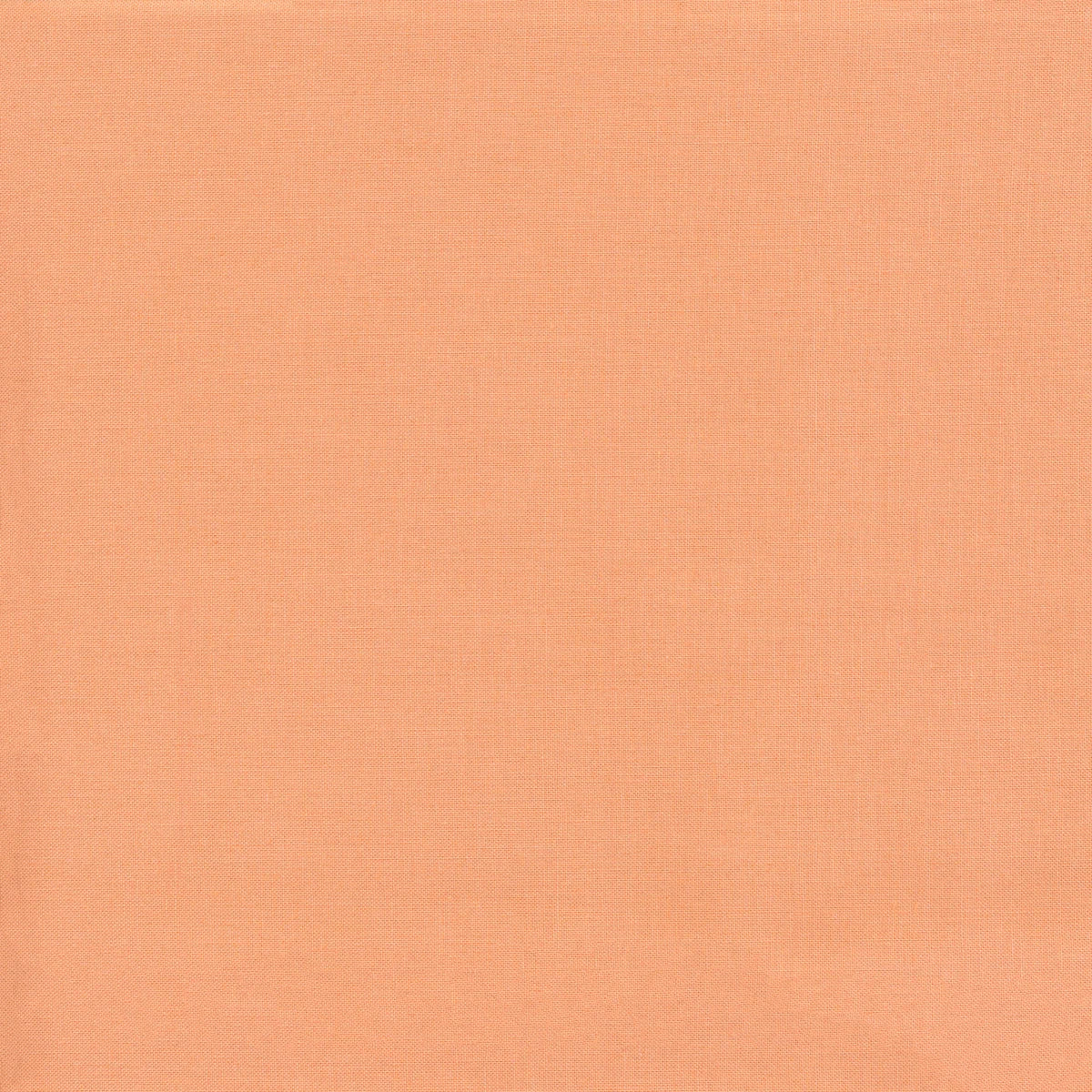 Bella Solids - Peach