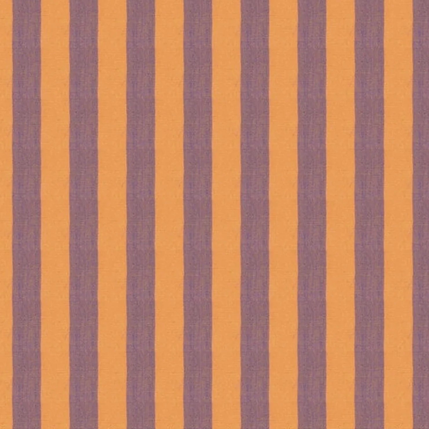 Shot Cotton - Wide Stripe - Cantaloupe