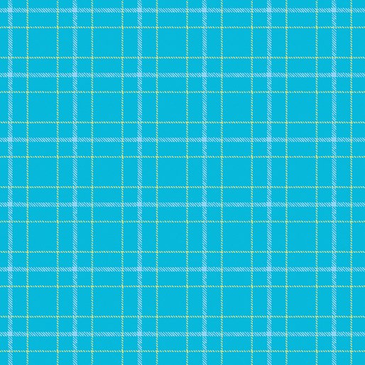 Warp and Weft 2 - Double Plaid - Aqua